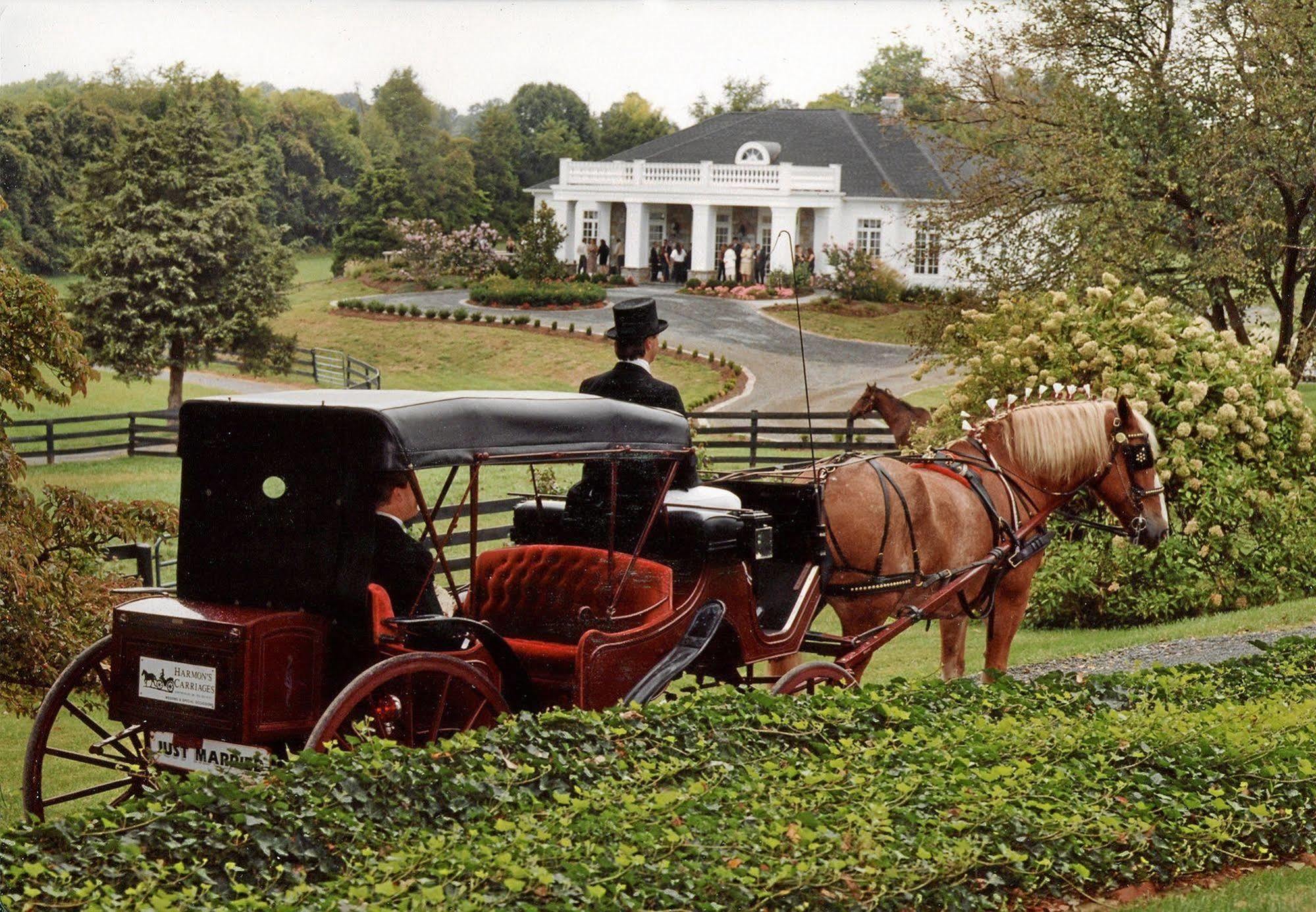 Black Horse Inn Warrenton Extérieur photo